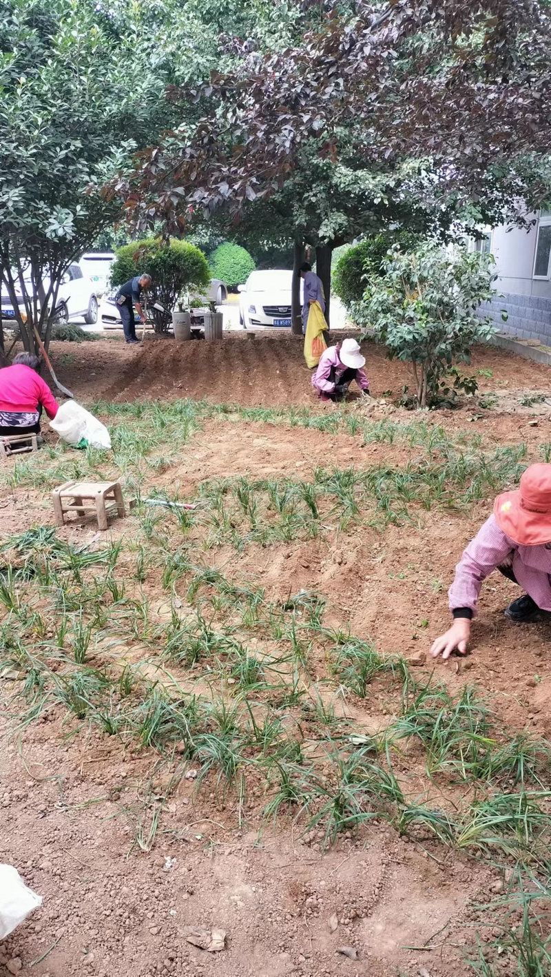 微信圖片_20221115172926